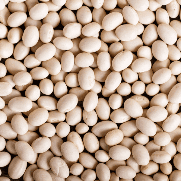 dry white polish beans   g bag kg monteagle brand simpplier