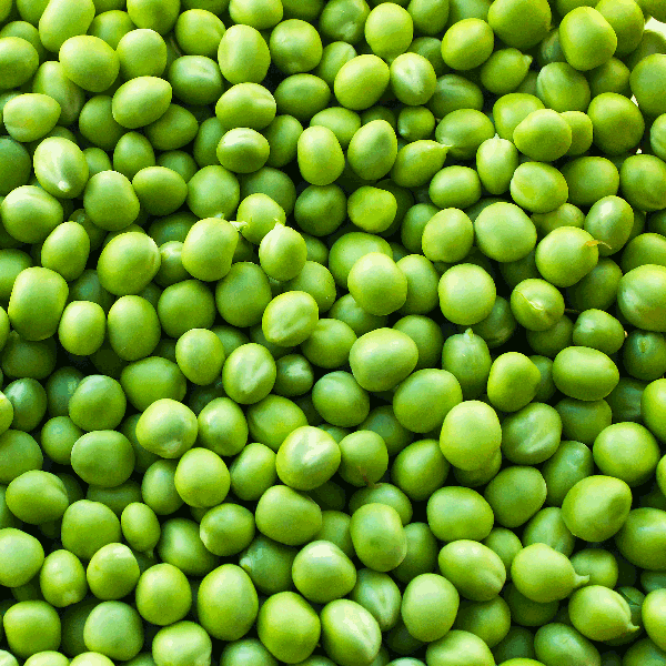 frozen garden peas b grade bulk tote bins kg monteagle brand simpplier